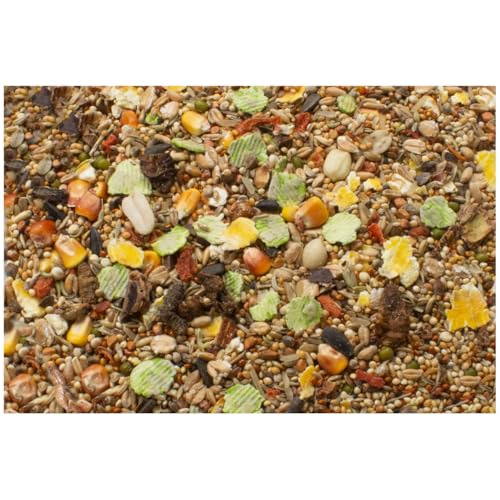 JR FARM Rennmäuse-Schmaus 600 g