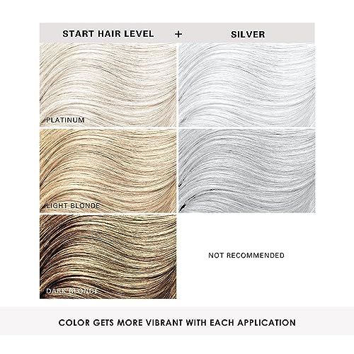 Keracolor KC CLENDITIONER SILVER 12 Clenditioner Silver Hair Dye thumb #6