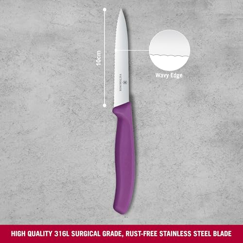 Image of Victorinox Swiss Made Stainless Steel Swiss Classic Paring Knife, 10 cm, Serrated Edge with Pointed Tip, Professional and Household Kitchen Tools, Kitchen Items, Purple, 6.7735.C1 | Multipurpose Knife