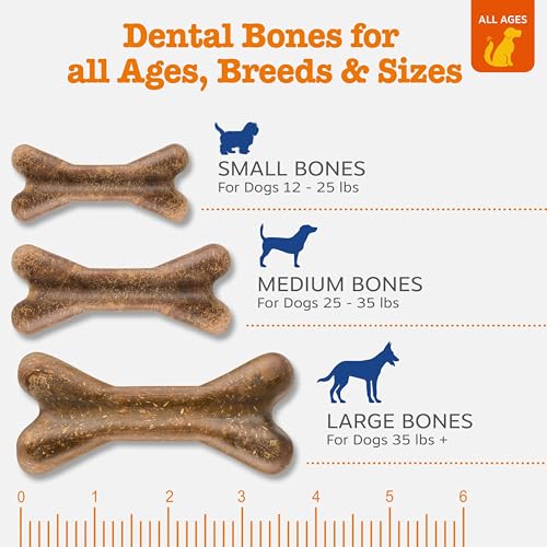 Zesty Paws Dental Bones - Fights Tartar & Plaque - Gum, Teeth & Bone Health - Cinnamon for Dog Breath - Immune, Joint, Gut, Skin & Coat Support - Omega 3 EPA & DHA and Calcium - Medium Dogs - 12 ct