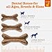 Zesty Paws Dental Bones - Fights Tartar & Plaque - Gum, Teeth & Bone Health - Cinnamon for Dog Breath - Immune, Joint, Gut, Skin & Coat Support - Omega 3 EPA & DHA and Calcium - Medium Dogs - 12 ct