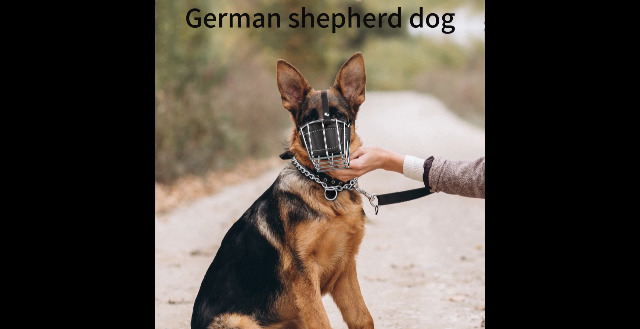 Metal Wire Basket Muzzle For Extra Large Dogs - No Bite No Chew Cage - German Shepherd XXL