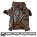 Hunde-Winter-Ledermantel, Hunde-Lederjacke, Warm für den Winter, für Draußen, für Kleine, Mittelgroße Hunde, für Katzen (S)
