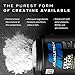 MuscleTech Creatine Powder | Cell-Tech Creactor | Creatine HCl Formula | Muscle Builder for Men & Women | Creatine HCl + Free-Acid Creatine | Creatine Supplements | Blue Raspberry Blast, 120 Servings