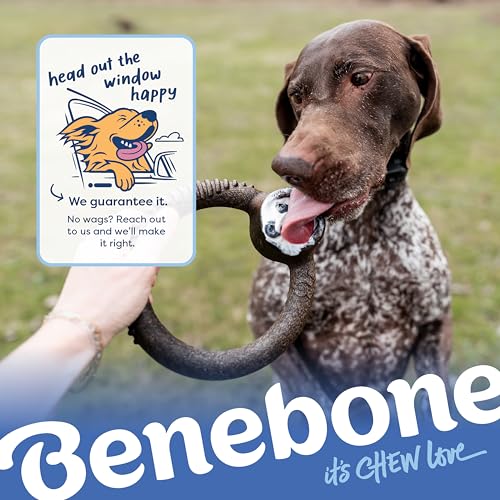 Image of Benebone Ring Dog Chew Toy for Aggressive Chewers, Blueberry, Medium | Durable, Super Chewer, Dog Bones, Long-Lasting, A Size for Every Dog, Keeps Them Busy