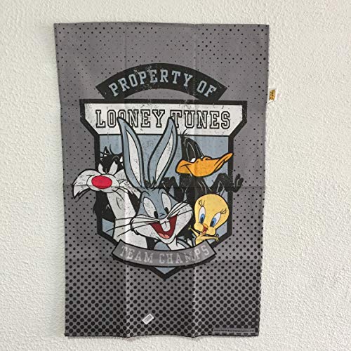 Pano de Prato Looney Tunes Team Champs Fundo Cinza em Algodão - 29x18 cm