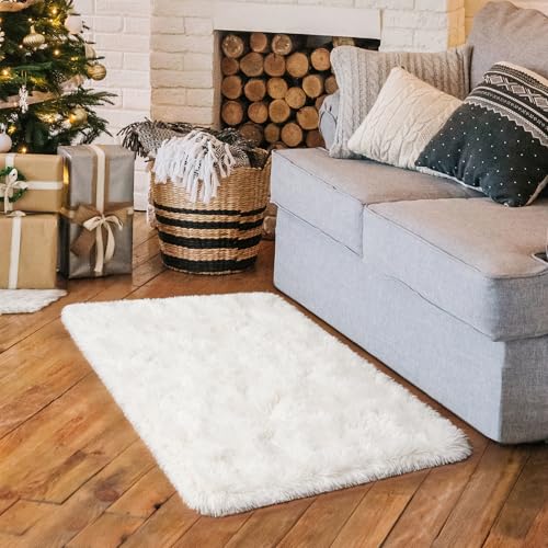 HOMORE Small Rugs for Bedroom 2x3 Feet Ivory Rug for Bedroom Bedside Soft Fluffy Area Rugs for Desk Indoor Entrance Door Mat, Small Runner Rugs and Carpets for Dorm Nursery