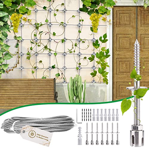 Wein Kletterpflanze Die 15 besten Produkte im Vergleich