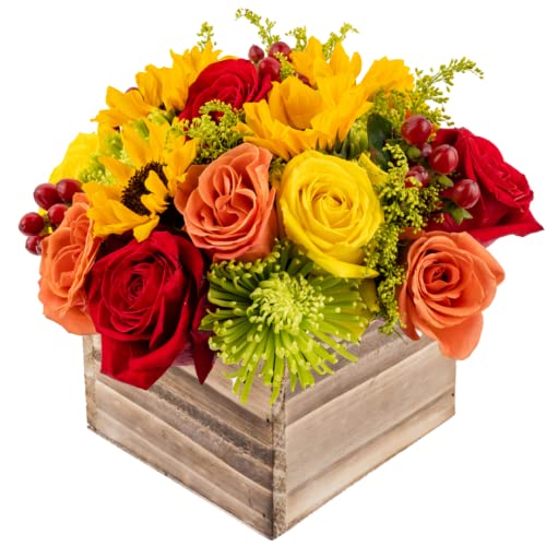 Warm Glow in Wooden Vase | Yellow, Orange and Red Fresh Flower Foam Arrangement | Arabella Bouquets | Flowers for Delivery, THanksgiving, Birthday, Congratulations