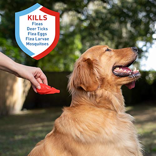 Adams Plus Flea & Tick Prevention Spot On for Dogs 61-150 Pounds, 12 Weeks & Older, 3-Month Supply, Kills Fleas, Flea… - Image 2