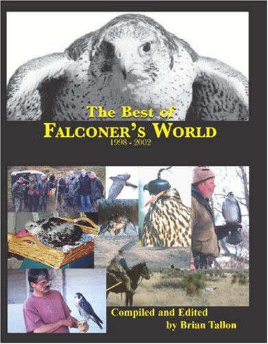 Falconer's World (The Falconer’s Apprentice Series)