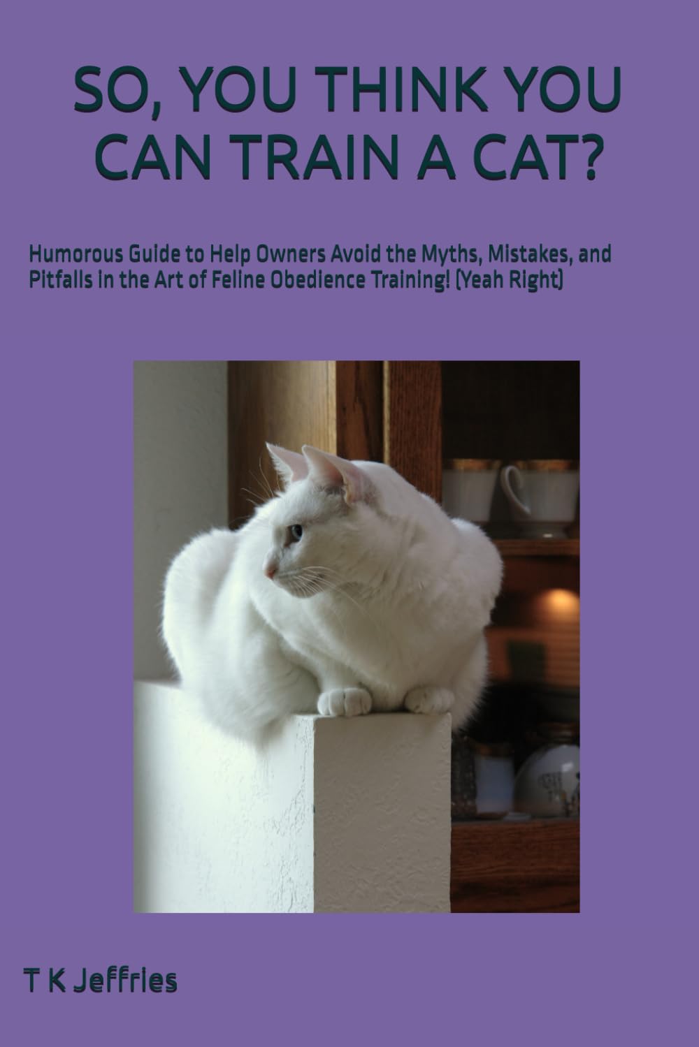 SO, YOU THINK YOU CAN TRAIN A CAT?: Humorous Guide to Help Owners Avoid the Myths, Mistakes, and Pitfalls in the Art of Feline Obedience Training! (Yeah Right)