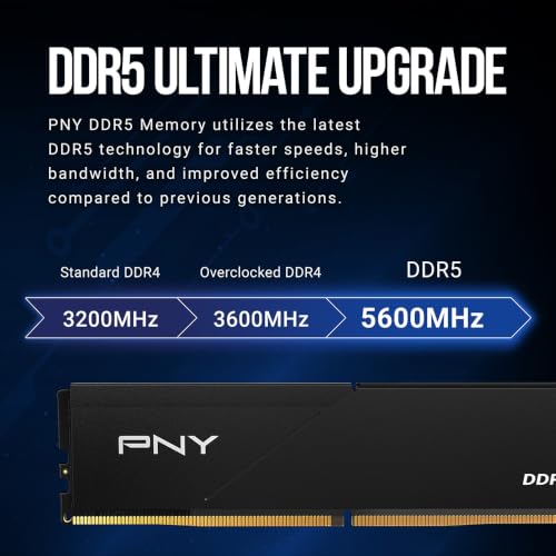 Image of PNY DDR5 32GB (2x16GB) 5600MHz CL46 Low Profile Desktop Memory Kit | PC5-44800, CL46, 1.1V, 288-Pin, RAM, Compatible: 5200MHz, 4800MHz - MD32GK2D5560046LP
