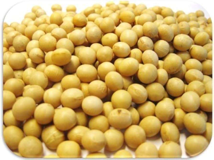 大豆 Amazon.co.jp: 富澤商店(TOMIZ) 令和6年産 北海道産大豆 900g