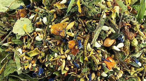 Getzoo Rennmausfutter 500g I Naturnahe und Ausgewogene Ernährung I Vitaminreiches Gemüse I Hochwertige Kräuter I Mit Tierischem Eiweiß I Gesundheitsförderndes Futter