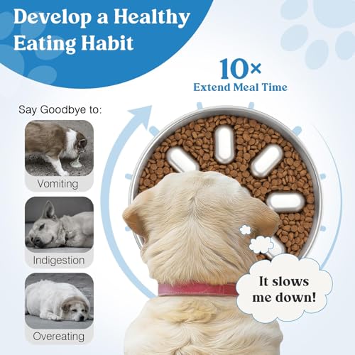Slow Feeder Dog Bowl Stainless Steel, Non-Slip Metal Dog Food Bowl for Fast Eaters, Anti-Gulping Bloat Stop Pet Bowl, Slows Down Eating, Dishwasher Safe, 2 Cup Bowl for Small & Medium Dogs - Image 4