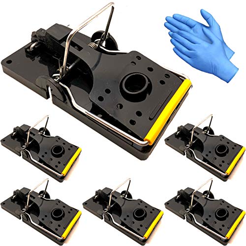 6 Pack Large Rat Traps With Heavy Duty Spring for...