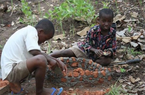 Beyond Shelter: Architecture and Human Dignity - Image 6