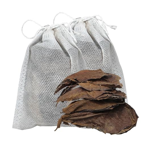 Hojas de Catapa para acuarios de Suministro de Agua Natural, Hojas de almendras Indias | Hojas para Peces de Agua y camarones, Mantenimiento de Peces de Combate, mejorador de hábitat para Piscinas de
