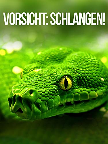 Vorsicht: Schlangen! für 2,99 EUR bei amazon.de Bild: Vorsicht: Schlangen! für 2,99 EUR bei amazon.de