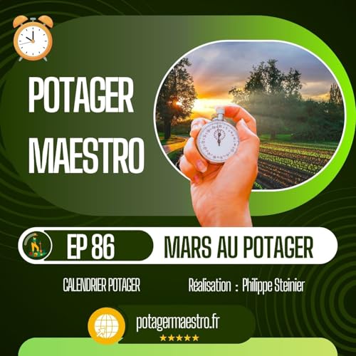 Que faire au potager en mars : semis, sol et plantations 🌱