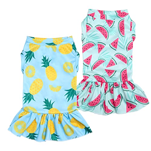 Expawlorer Dog Dress For Small Dogs - 2 Pack Lightweight Cooling Dog Shirt With Fruit Pattern For Summer,Sleeveless Girl Dog Apparel,Soft Breathable Pet Clothes For Puppy Medium Dogs #TOP18