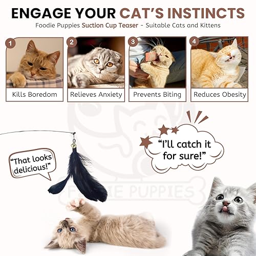 Image of Foodie Puppies Cat Teaser Playing Wand with Feather (Suction Cup Cat Teaser) for Cats and Kittens | Vibrant Interactive Bell Hanging Spring Wand | Fun Teasing, Catching, Chasing and Bonding Play