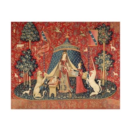 Amazon 茵曼 クロスステッチキット 刺繍キット The Lady And The Unicorn Mon Seul Desir 貴婦人と一角獣 我が唯一の望み クロスステッチキット 世界名作劇場 世界のおとぎ話 刺しゅうキット 通販