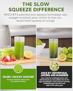 AMZCHEF Juicer Machines - Cold Press Slow Juicer - Masticating Juicer for Whole Fruits and Vegetables - Delicate Chew No Need to Filter - BPA Free Juice Extractor with 2 Cups and Brush - Cold Grey