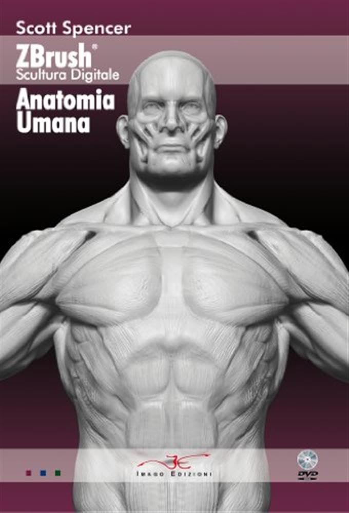 Zbrush scultura digitale anatomia umana