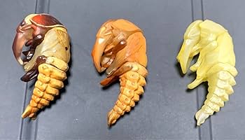 海洋堂　チョコQ シークレット　オオアタマガメ　A・B2種セット Amazon | 食玩 すばる堂 チョコQ 日本の動物 第11弾 SP-a