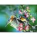 5D Diamond Painting Bird In The Tree Rhinestones Animal Pictures Embroidery Cross Stitch Kit Mosaic Crafts Home Wall Decor A20 40x50cm