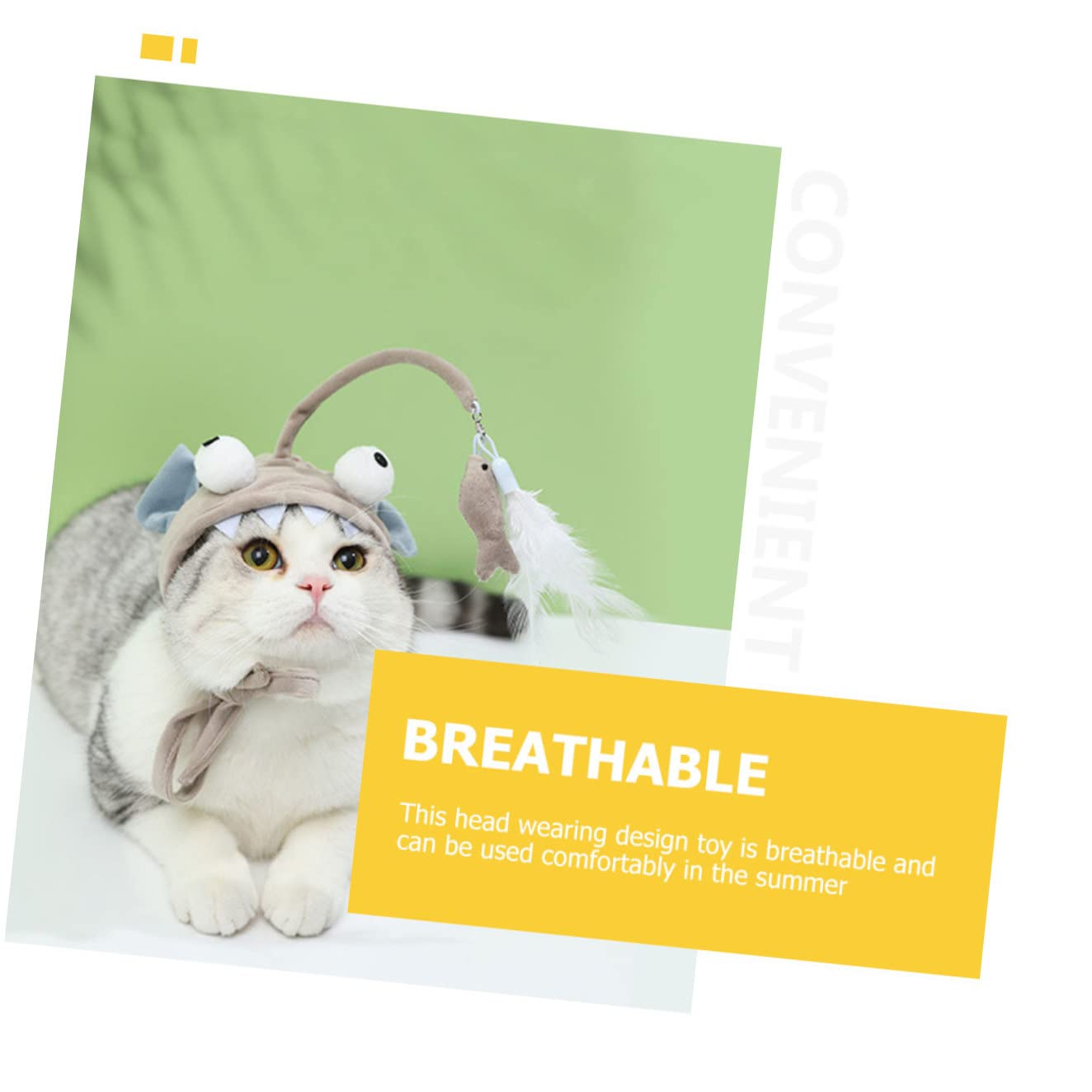 POPETPOP Lot De 4 Jouets Interactifs pour Chats Dintérieur pour Taquiner Les Chats Et Exercer Leurs