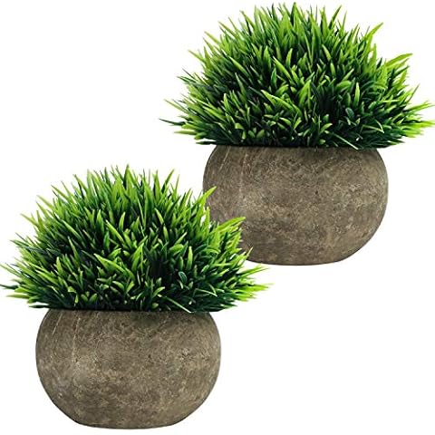 BELLE VOUS Mini Plantas Artificiales Decorativas en Maceta Gris (Pack de 2) Cover