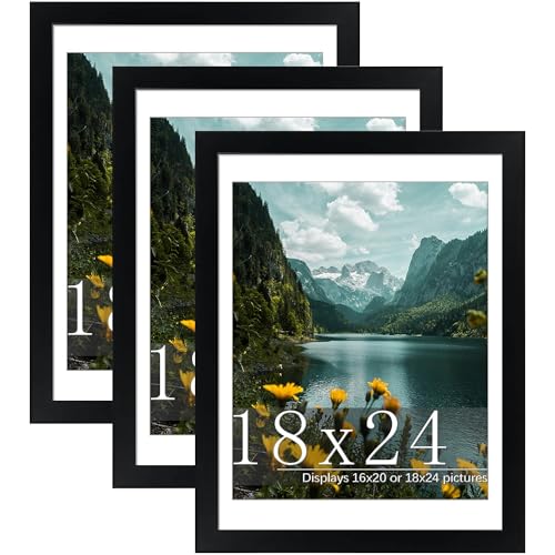 Picrit 18x24 Picture Frame 3 Pack, Black Poster Frame, Display Poster 16 x 20 with Mat or 18 x 24 without Mat for Horizontal or Vertical Wall Mounting
