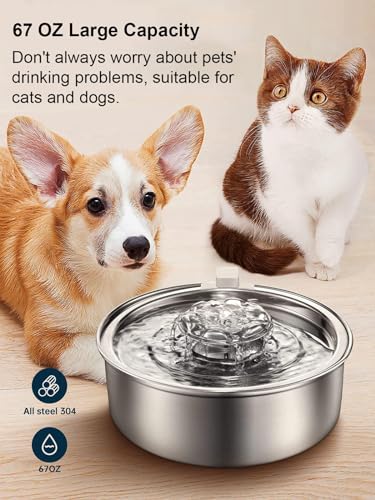 Fuente de Agua Automática para Gatos de Acero Inoxidable 2L miniatura 6