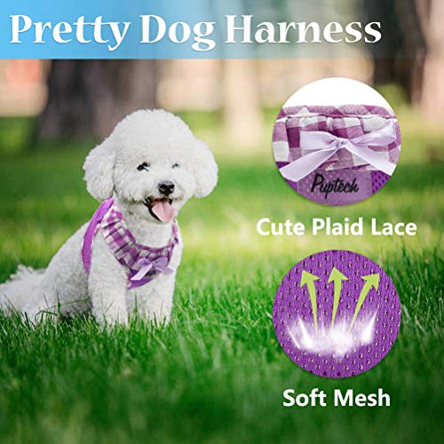 Pupteck Small Dog Harness No Pull Step-In Soft Mesh Puppy Padded Pet Vest Harnesses For Girl Cats Small Dogs #TOP1