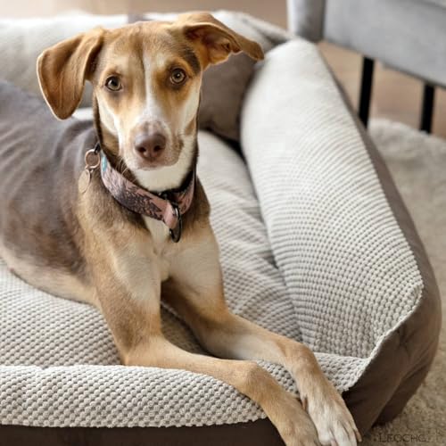 4L Textil Teo Hundebett Braun/Beige Hundekorb mittelgroße Hunde Hundekissen große Hunde Hundekörbchen flauschig Hundesofa (100x80 cm, Braun/Beige)