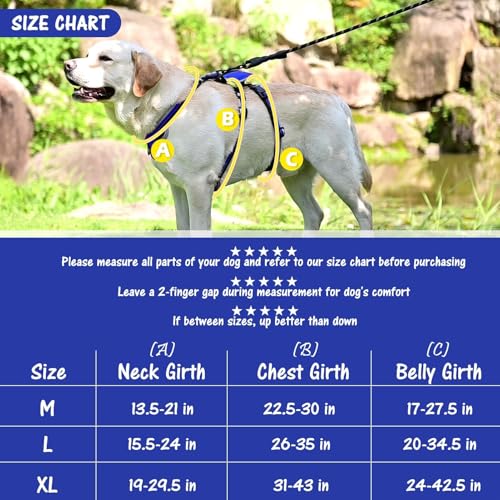Image of Mihachi Medium Blue Dog Harness - Escape Proof, No Pull, Reflective, Adjustable, Modern Style with Handle and D-Ring for Walking, Hiking, Training and Running