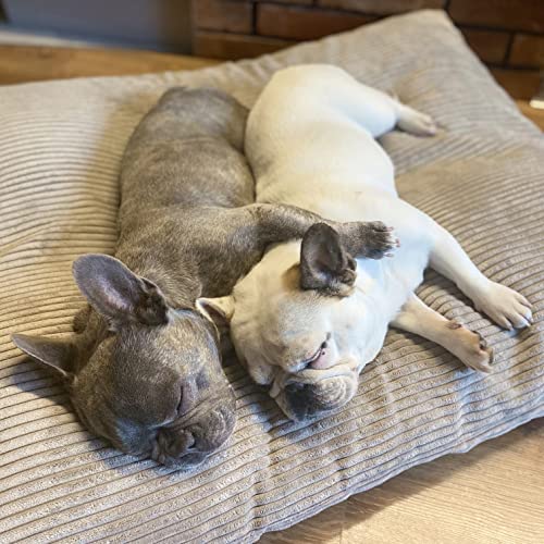 4L Textil ZOE Weiches und Kuscheliges Hundebett Grosse Hunde, Hundebett mit Bezug und Reißverschluss, Waschbar (100x80 cm, Latte (Streifen)