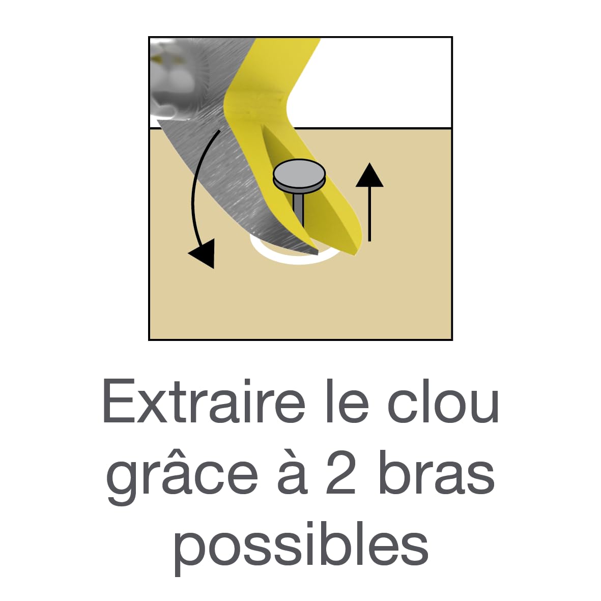 Arrache-Clous Sylvapro® Leborgne – Outil Forgé et Trempé Haute Résistance avec Poinçon Intégré et Double Pince – Extraction Facile des Clous pour Charpente, Menuiserie et Construction Ossature Bois