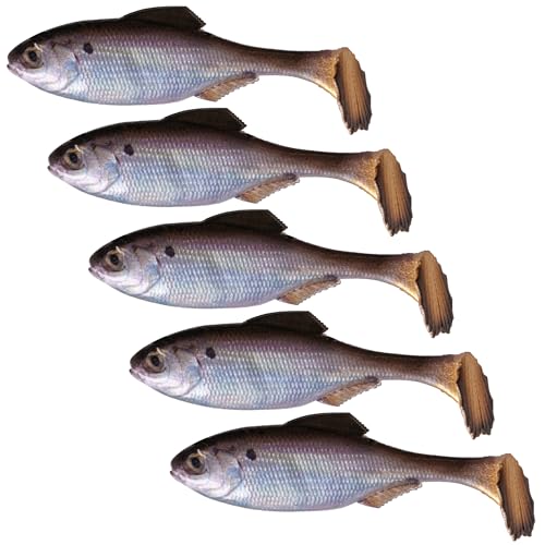 6th Sense Masterclass Panorama Swimbait Customizable Soft Plastic Paddle Tail 2.3 2.9 3.5 4.3 6.0 Realistic Swimbait (Live Gizzard Shad 4.3 (5/pk))