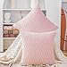 Madizz 2 pcs Doux Velours Décoratif Housses de Coussin Luxe Style pour canapé Chambre Rose Clair 40 x 40 cm