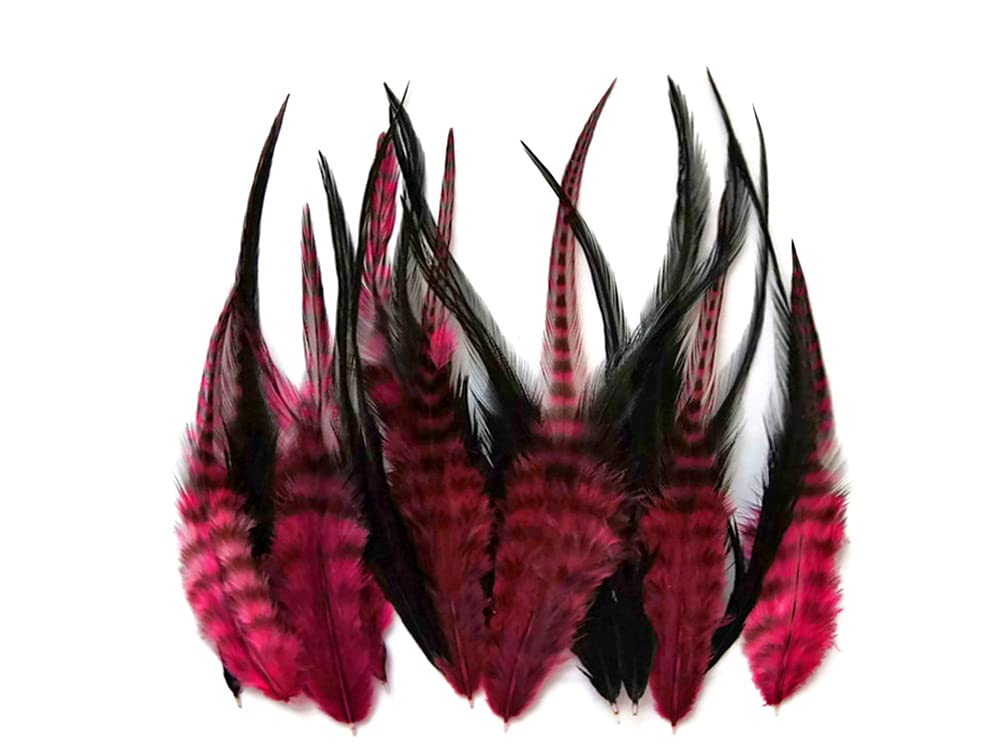 Hair Feathers ; 2 Dozen SHORT CLARET and BLACK Grizzly