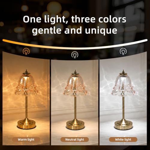 Image of NYRWANA Cordless Rechargeable Glass Table Lamp with 2000mAh Battery, USB-C Charging, Stepless Dimming, 3 Colour Touch Control, Lamp for Bedroom, Living Room, Home Decor (Metal)