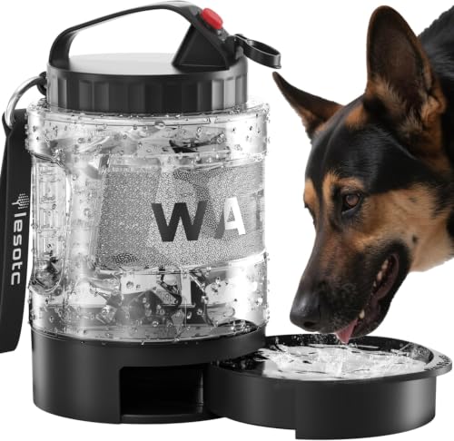 lesotc 77oz Travel Dispenser