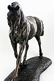Zoom IMG-2 1056 trottare warmblood finitura in