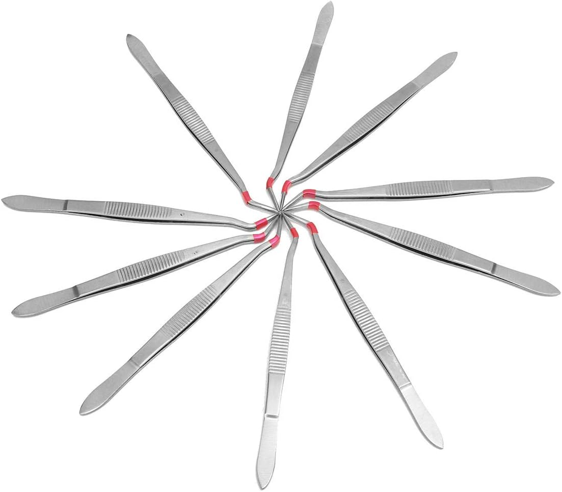 10Pcs 6inch Stainless Steel Tweezers Surgical Lab Instruments Dentistry Tool