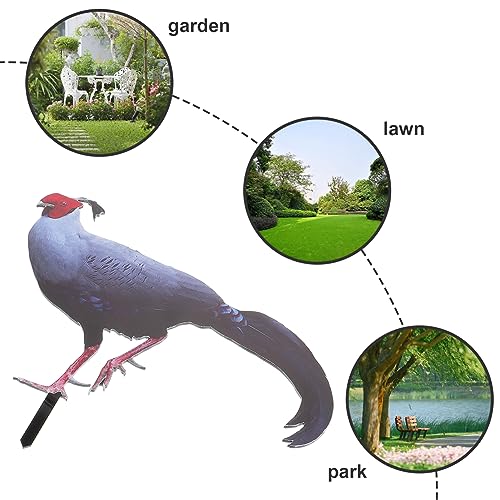 BESPORTBLE Yard Chicken Stake Dekorativer Garten-hühnerschild-Stake Acryl-Einsatz Für Modernes Outdoor-