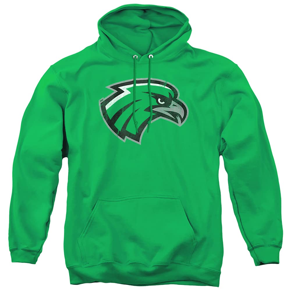 LOGOVISION Official Collegiate Distressed Primary Logo Adult Pullover Hoodie Collection — view 475